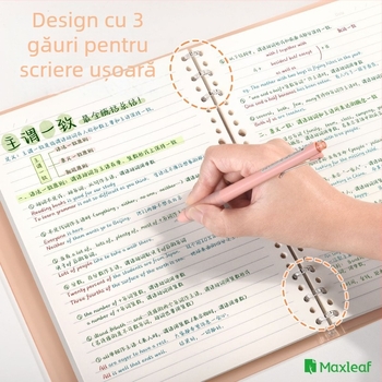 Mary B-560 caiet cu foi detașabile B5, hârtie groasă de înaltă calitate, 60 file, dimensiuni 190 x 265 mm, pentru studenți și pregătire pentru admiterea la master