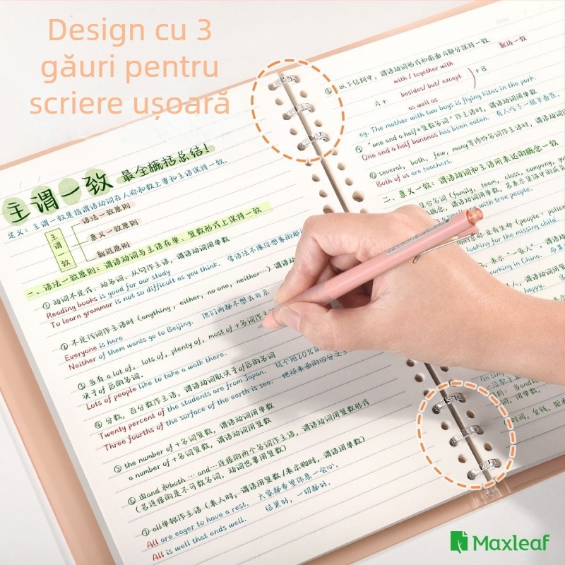 Mary B-560 caiet cu foi detașabile B5, hârtie groasă de înaltă calitate, 60 file, dimensiuni 190 x 265 mm, pentru studenți și pregătire pentru admiterea la master