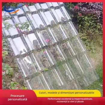 FRP transparente pentru lumină naturală, plăci din rășină și panouri din fibră de sticlă, panouri cu dublu strat, înaltă transparență, personalizate
