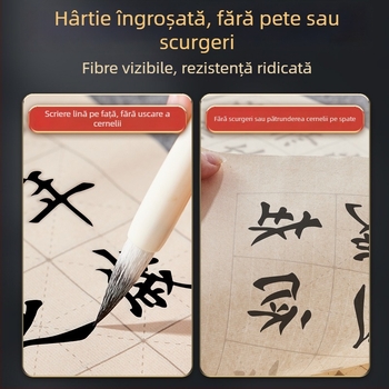 Colecția Lanting: Caiet de copiere pentru practică de caligrafie, exerciții de scriere în stil regulat, hârtie pentru pensulă moale, stil regulat și european