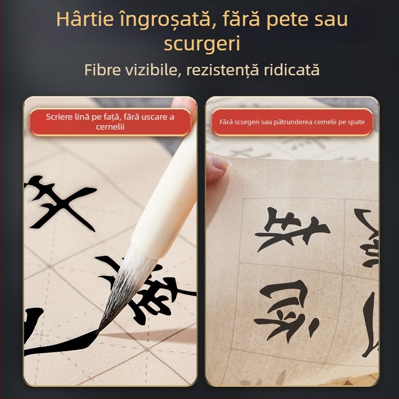 Colecția Lanting: Caiet de copiere pentru practică de caligrafie, exerciții de scriere în stil regulat, hârtie pentru pensulă moale, stil regulat și european