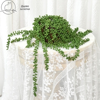 Plantă suculentă artificială pentru perete, decor cu mărgele, plantă cu 5 ramuri „Lover's Tears” și viță decorativă