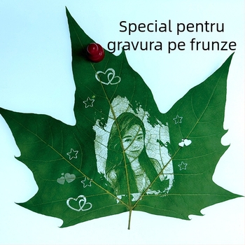Frunze Wutong pentru gravură cu laser și tăiere pe foi – frunze uscate, reale, material de artă manuală