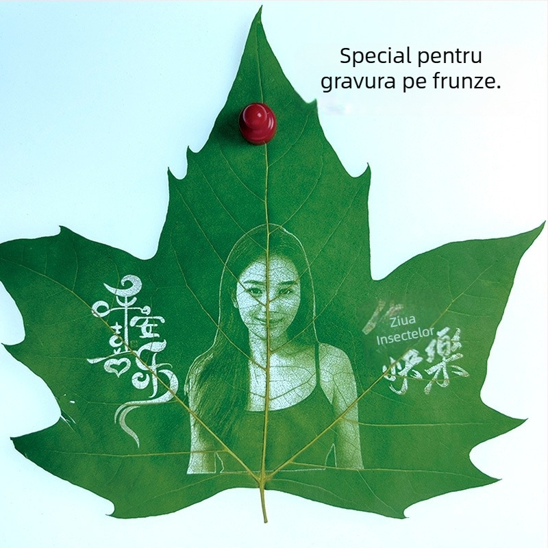 Frunze Wutong pentru gravură cu laser și tăiere pe foi – frunze uscate, reale, material de artă manuală