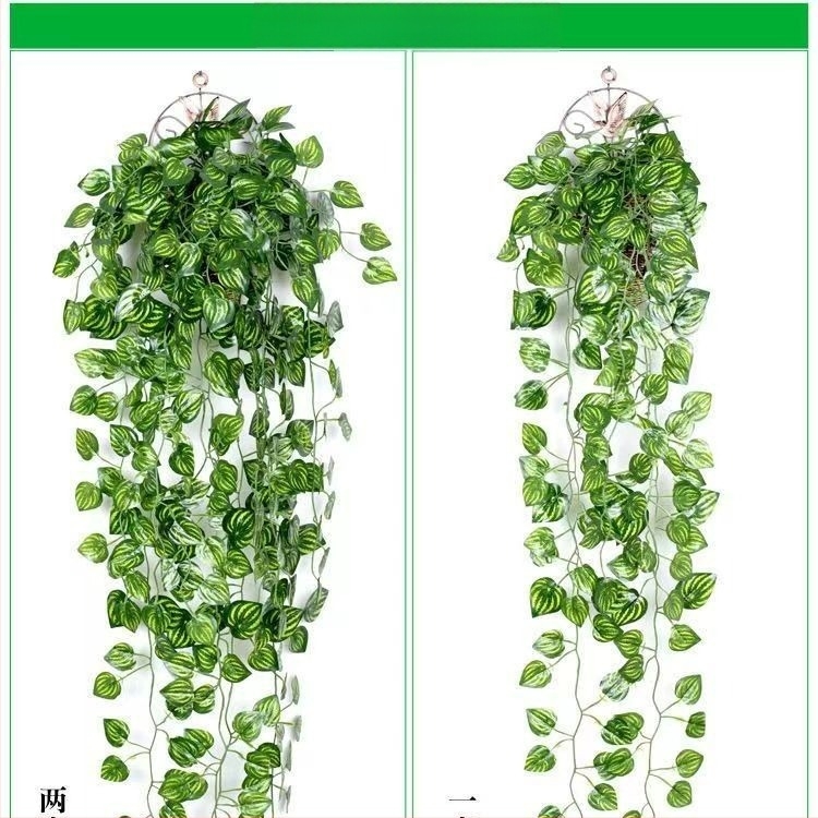 Decorațiune murală din ratan verde cu frunze și coș suspendat – decor pentru perete și tavan în living