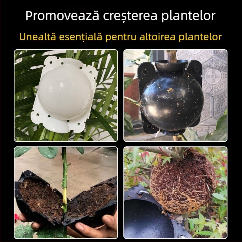 Cutie de înaltă presiune pentru plante – înmulțire, altoire și înrădăcinare; Minge de înmulțire pentru grădină și pomi fructiferi