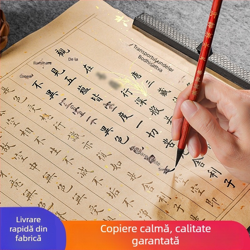 Set practică caligrafică: Scriere cu litere mici regulate, 108 repetări ale sutrelor, set de caligrafie cu pensulă moale pentru adulți