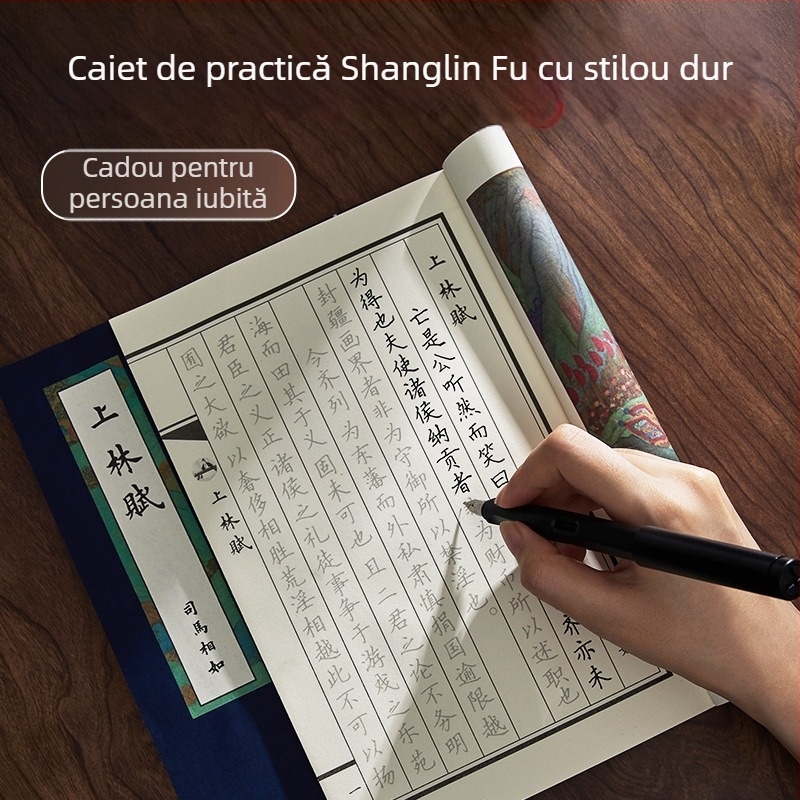 Shanglinfu Carte de exerciții pentru caligrafie pentru adulți cu pix dur – Scriere regulată, Slim Gold stil