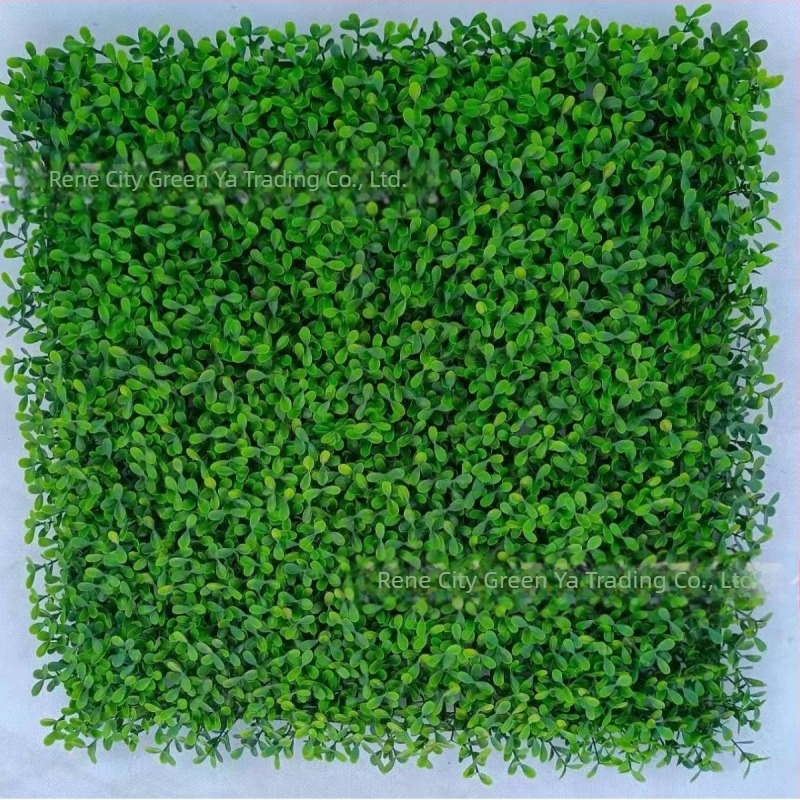 Perete vegetal artificial UV-rezistent cu panou Boxwood și fundal gazon – decor