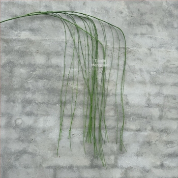 Verde artificial cu ramuri de salcie pentru fundal de perete, decor floral de nuntă, amenajare exterioară