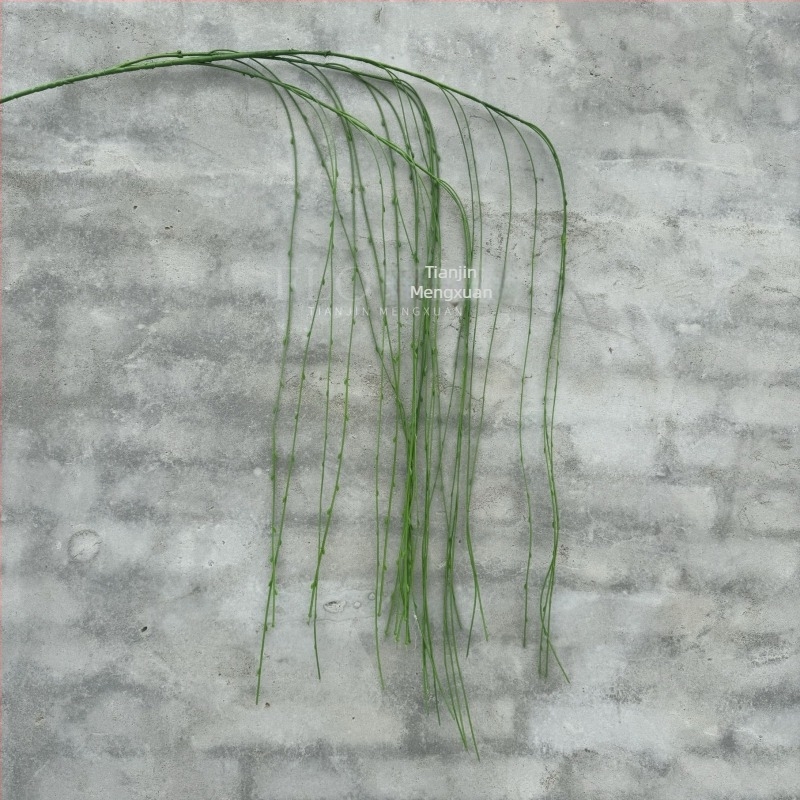 Verde artificial cu ramuri de salcie pentru fundal de perete, decor floral de nuntă, amenajare exterioară