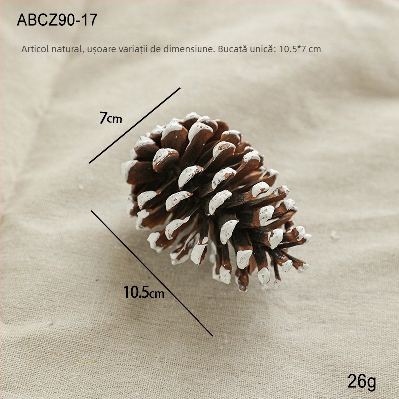 Accesorii de decor pentru scenă de Crăciun: conuri de pin naturale, bușteni din lemn, fructe uscate, flori uscate și accesorii decor pentru atmosferă