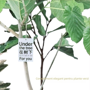 Card de felicitare cu flori și plante verzi, etichete față-verso pentru agățat și șnur de agățat inclus