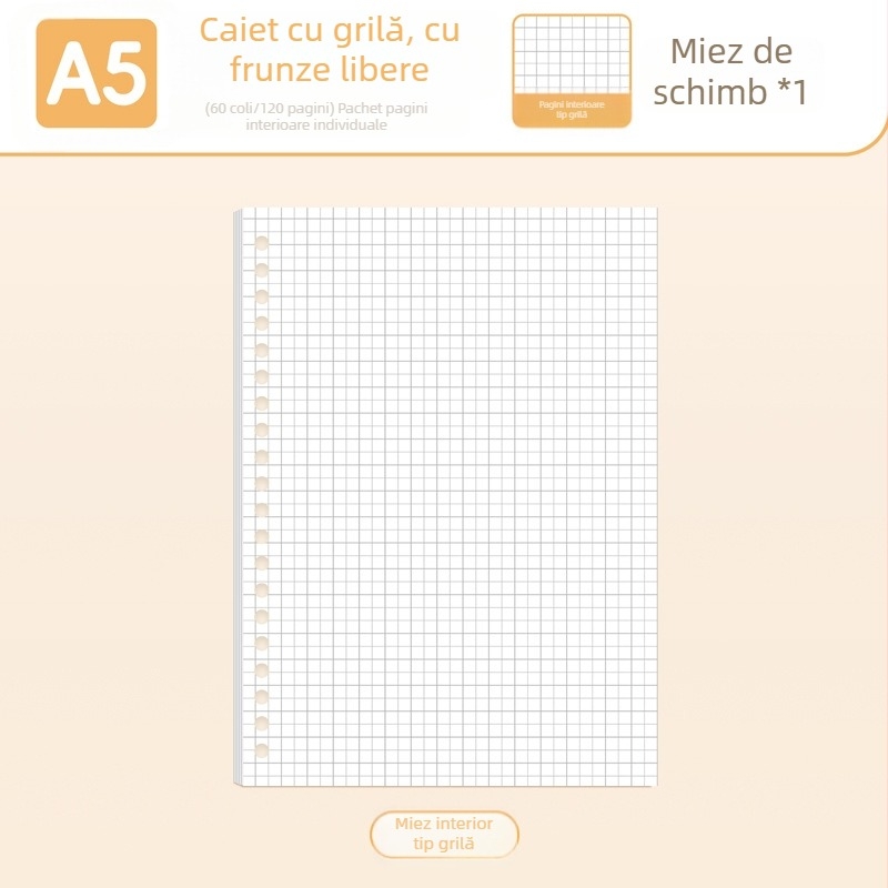 True Color B5 refil pentru carnet cu pagini detașabile A5, liniate, goale și cu grilă pentru limba engleză