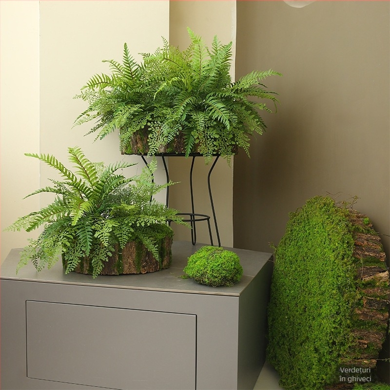 Set de plante verzi artificiale pentru amenajare interioară, ideal pentru colțul de la intrare, separator și peisajul de scări.