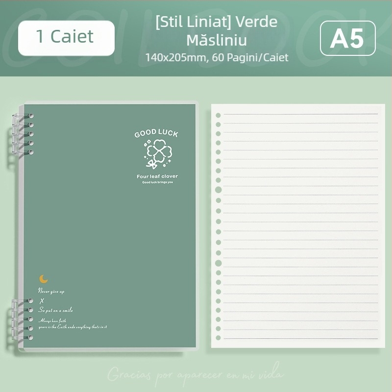 Caiet cu foi detașabile format B5, simplu și elegant pentru studenți și liceeni