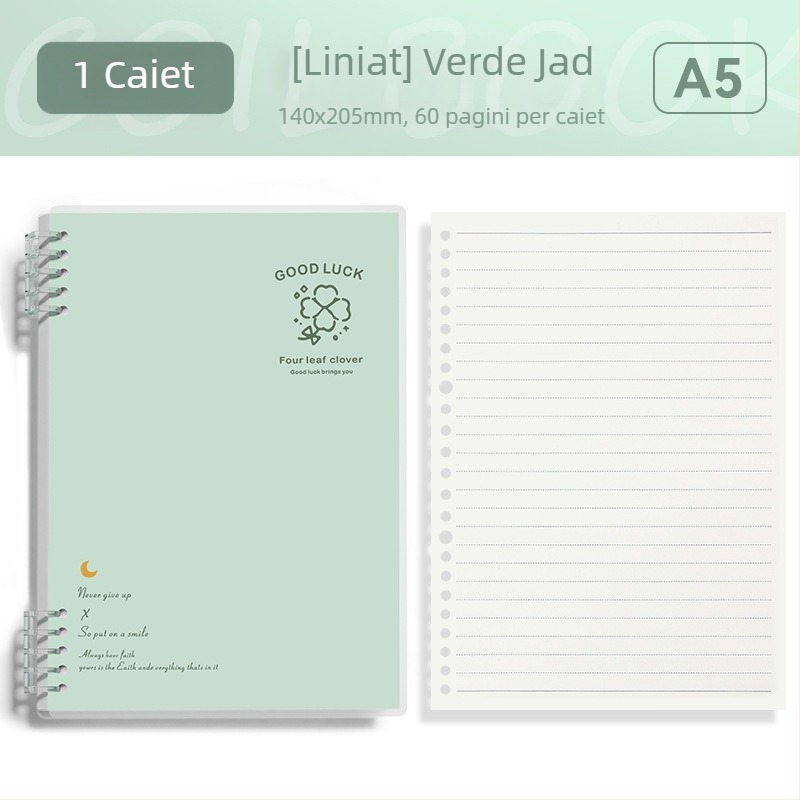 Caiet cu foi detașabile format B5, simplu și elegant pentru studenți și liceeni