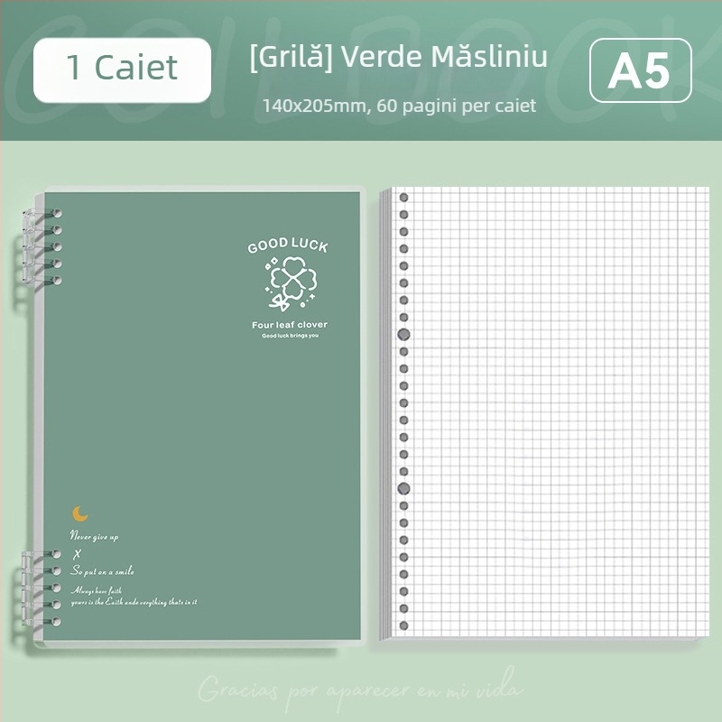 Caiet cu foi detașabile format B5, simplu și elegant pentru studenți și liceeni