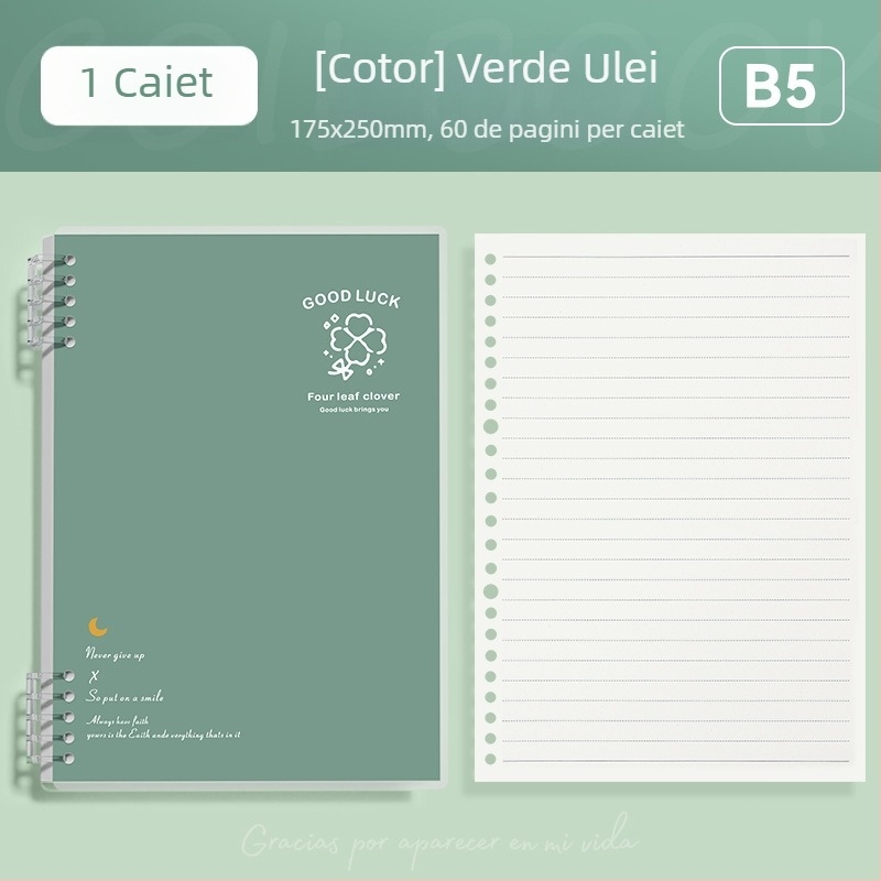 Caiet cu foi detașabile format B5, simplu și elegant pentru studenți și liceeni