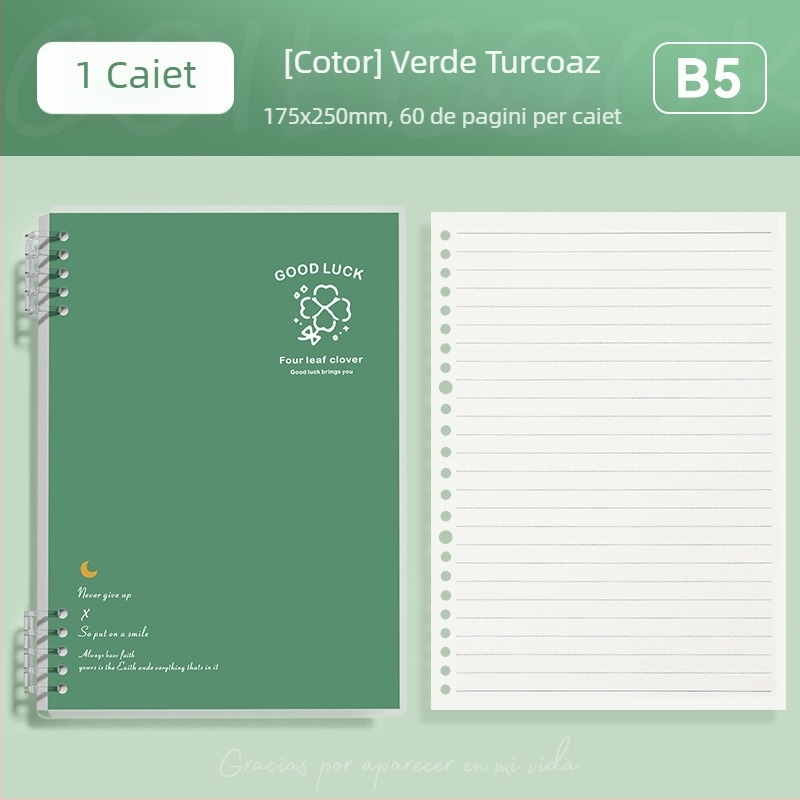 Caiet cu foi detașabile format B5, simplu și elegant pentru studenți și liceeni