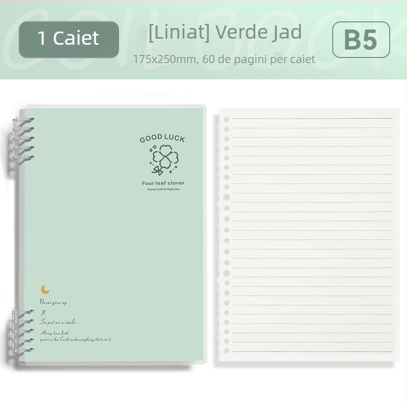 Caiet cu foi detașabile format B5, simplu și elegant pentru studenți și liceeni