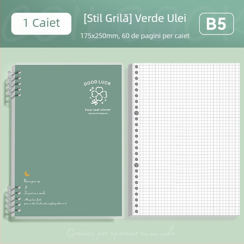 Caiet cu foi detașabile format B5, simplu și elegant pentru studenți și liceeni