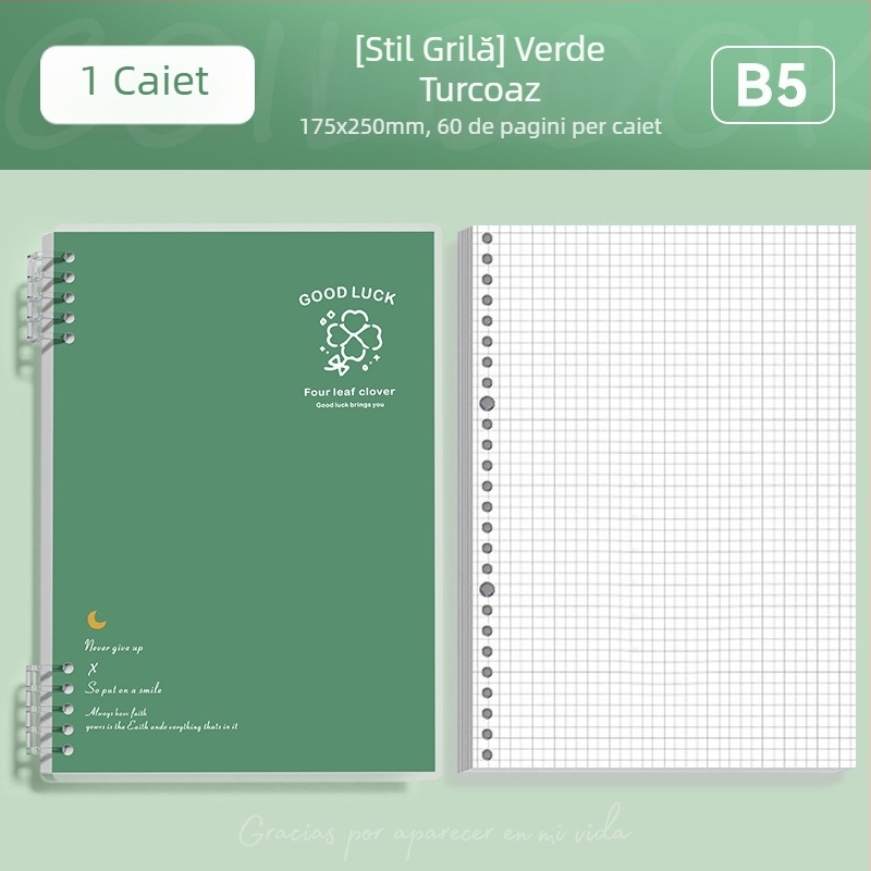 Caiet cu foi detașabile format B5, simplu și elegant pentru studenți și liceeni