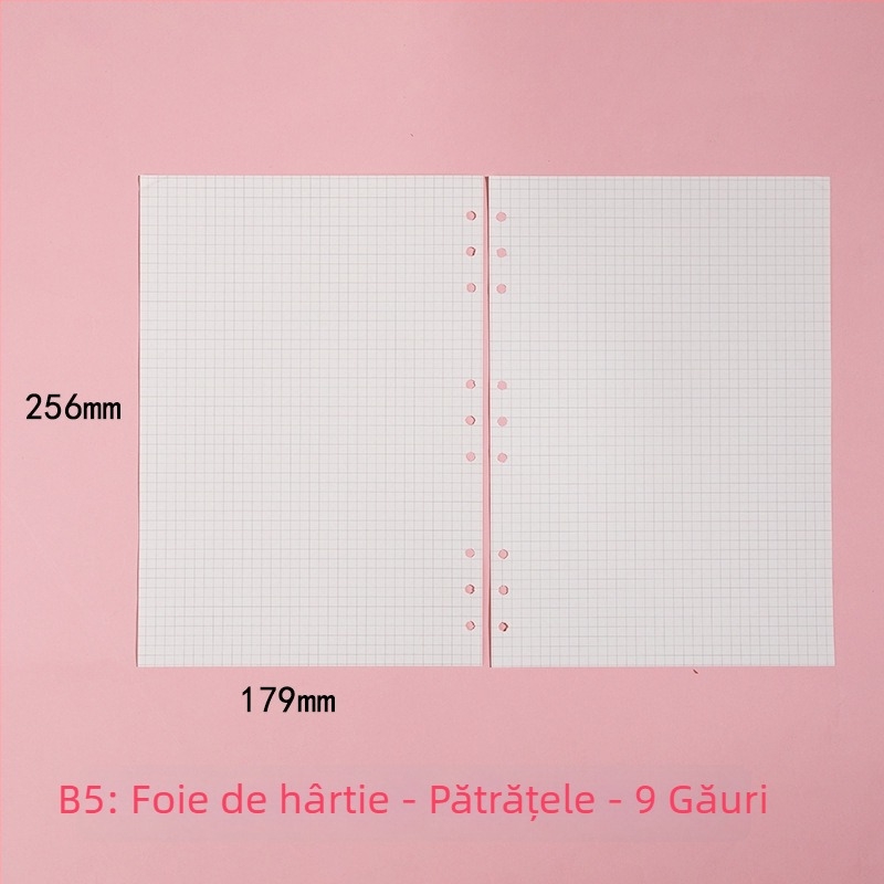 Morning 100 g foi de înlocuire pentru paginile interioare ale blocului A7, cu 6 găuri, linii orizontale, rețea de puncte și pătrate goale; compatibile cu găuri de 9, 20 și 24.