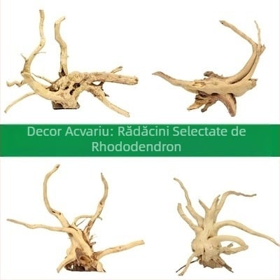 Kit de decor pentru acvariu cu driftwood, rădăcină de Azalea, mușchi și plante acvatice