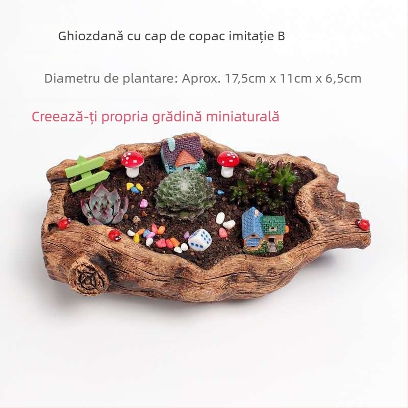 Ghiveci din ciment cu rădăcină sculptată pentru suculente, decor pentru birou sau podea