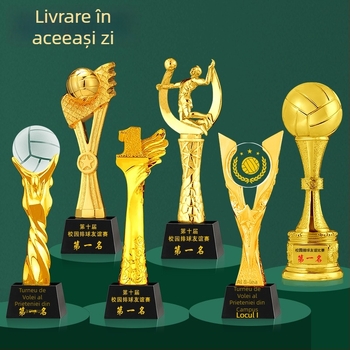 Trofeu din cristal cu bază metalică pentru competiția de volei aerian – premiu de echipă cu certificat comemorativ