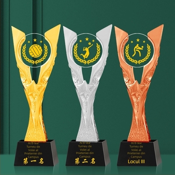 Trofeu din cristal cu bază metalică pentru competiția de volei aerian – premiu de echipă cu certificat comemorativ