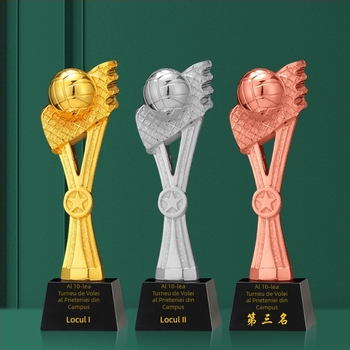 Trofeu din cristal cu bază metalică pentru competiția de volei aerian – premiu de echipă cu certificat comemorativ