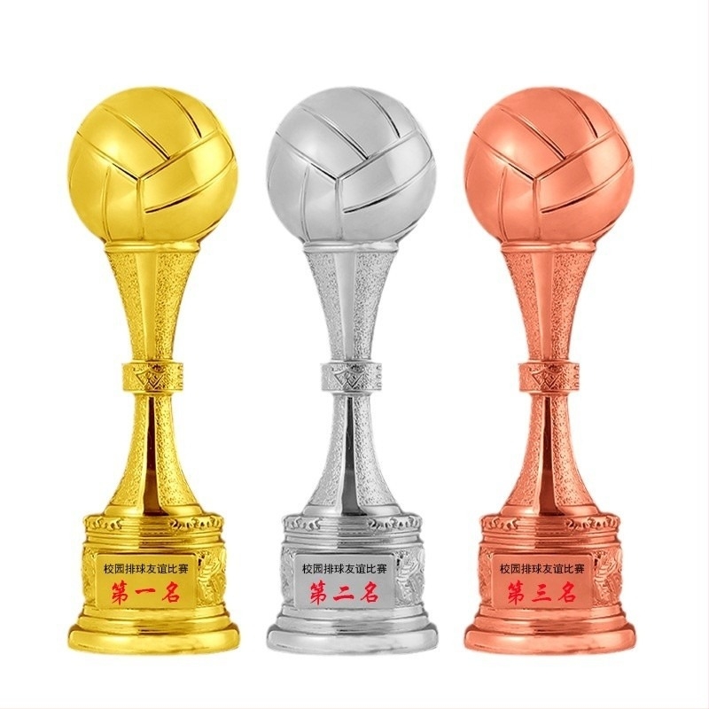 Trofeu din cristal cu bază metalică pentru competiția de volei aerian – premiu de echipă cu certificat comemorativ