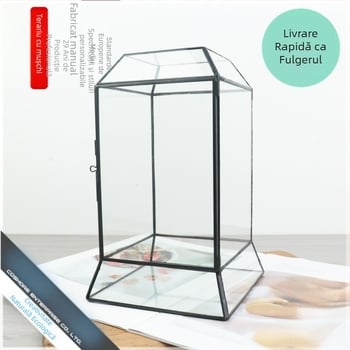 Mini peisaj cu mușchi într-un capac din sticlă, plante verzi vii, decor DIY pentru jungla tropicală, ornamente decorative mici