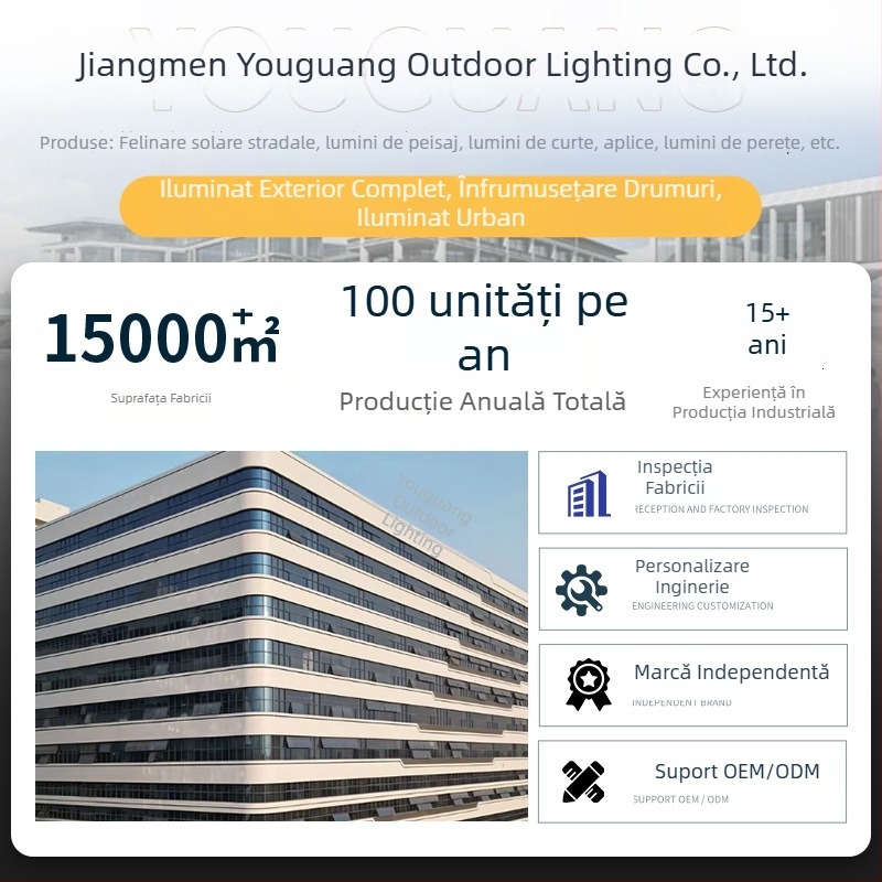 Stâlp solar de 6 m pentru iluminat stradal exterior, curte, LED IP65, 50W