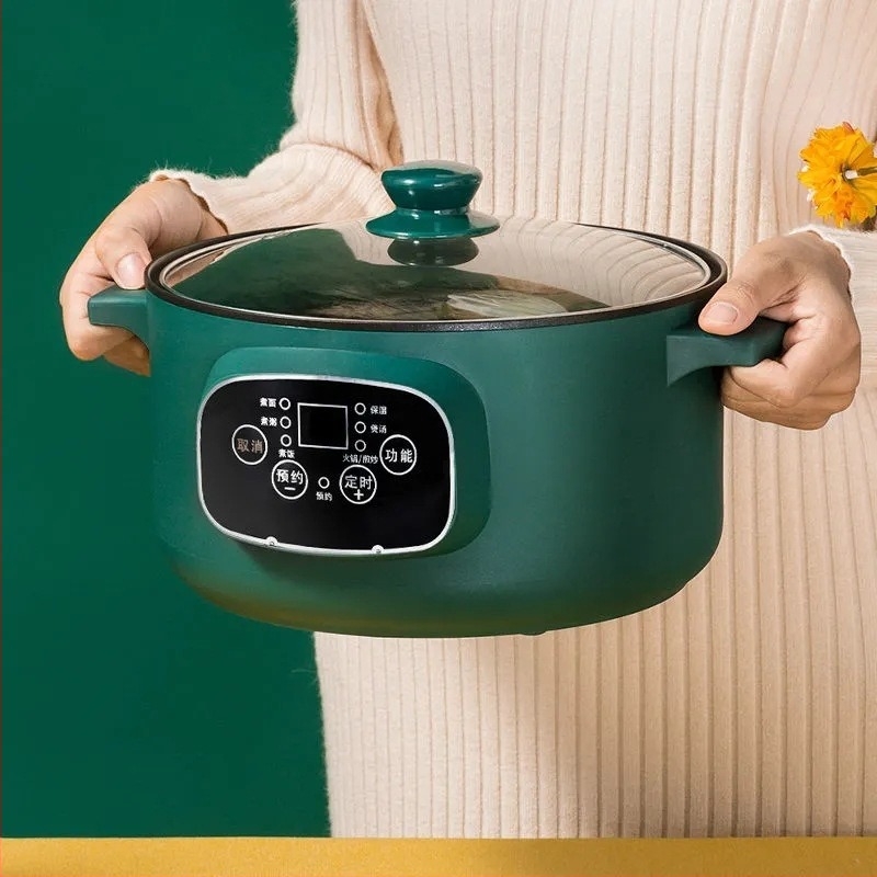 Oală electrică multifuncțională cu abur și prăjit – capacitate 2–3 L, 801–1000 W, corp din plastic
