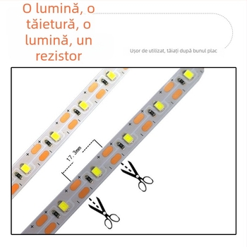 Bandă LED neon personalizabilă, 220V, flexibilă, impermeabilă, iluminare ambientală colorată pentru proiecte, decor de interior și exterior