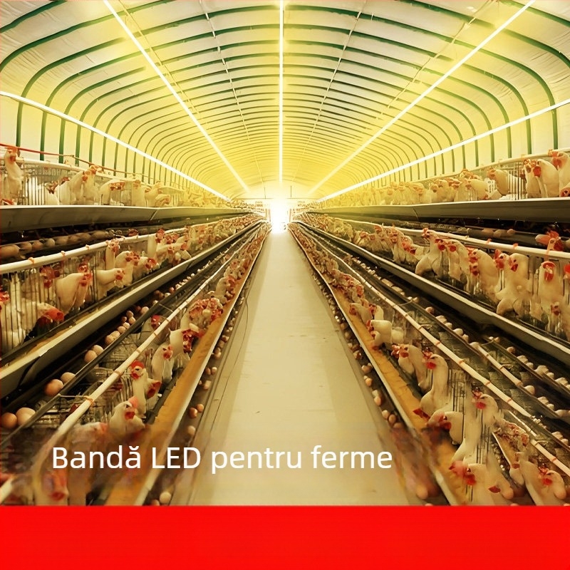 Bandă LED liniară autoadezivă, 220V, exterior, silicon impermeabil, luminozitate înaltă, monocromă, pentru tavan