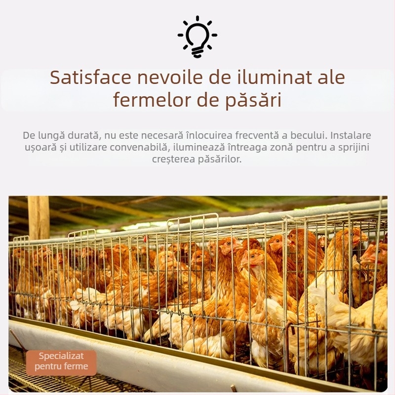 Bec galben cu lumină caldă pentru adăposturi avicole, bază E27, lampă de creștere pentru găini