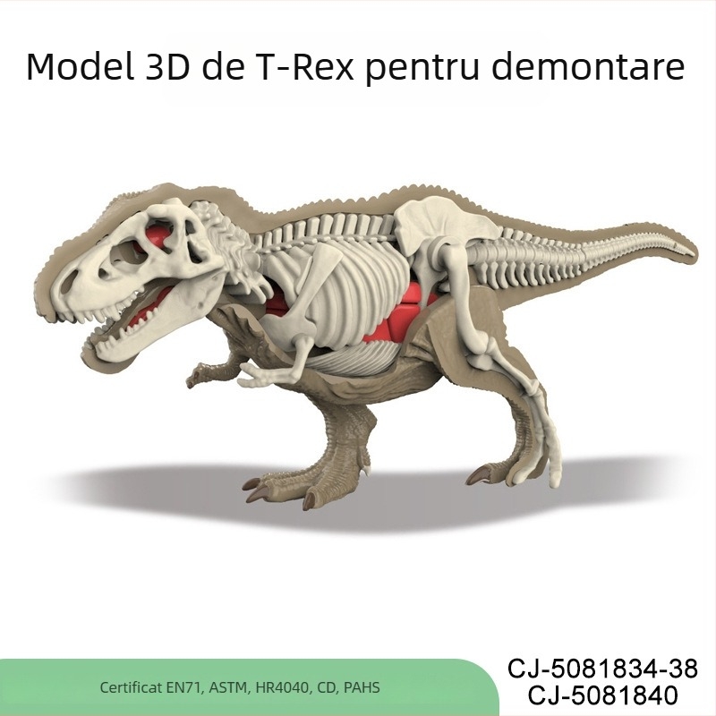 Jucărie educativă cu fosile de dinozauri pentru copii – asamblare DIY a scheletului, anatomie animală și știință