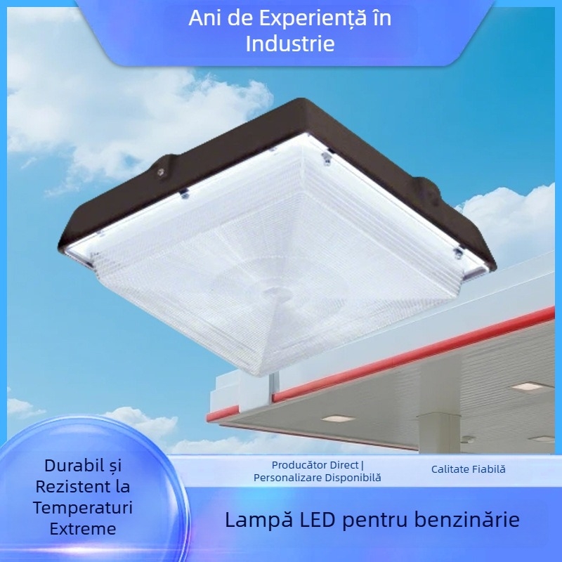 Lumină LED de tavan în stil american, lampă de grădină pătrată cu montaj, lampă LED circulară industrial-minieră cu carcasă pentru lampă de perete