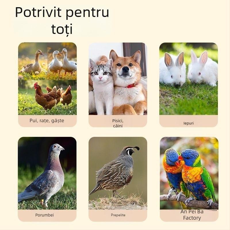 Găleată automată pentru apă și hrană pentru păsări și animale de companie