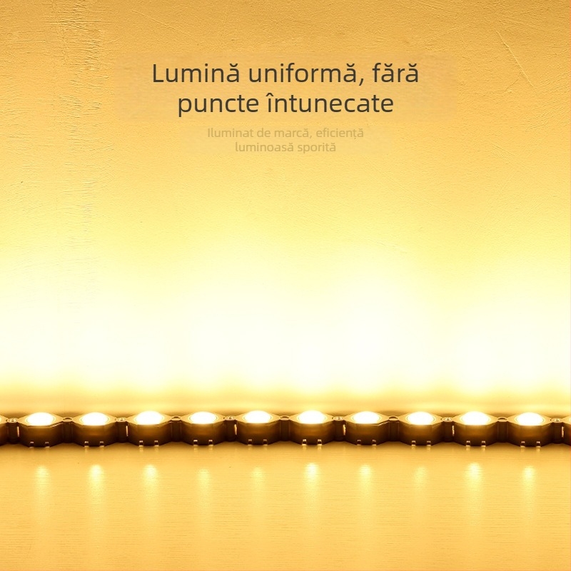LED lampă liniară flexibilă pentru parcuri și curți, montaj pe suprafață, iluminare de tip wall washer pentru exterior
