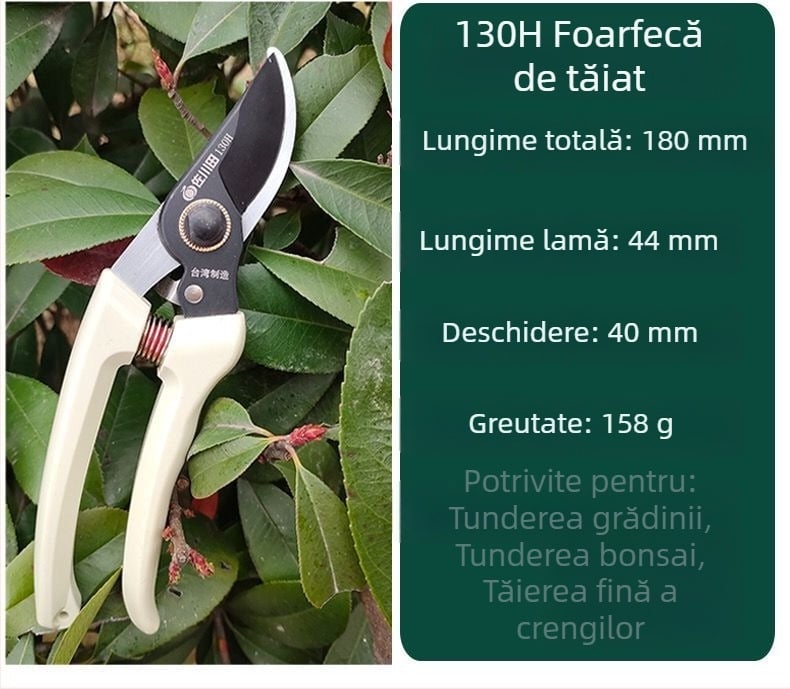 Foarfece pentru crengi de fructe Sagawa 130H, tăiere precisă fără a deteriora pomul, mâner anti-alunecare, instrument recomandat de grădinari