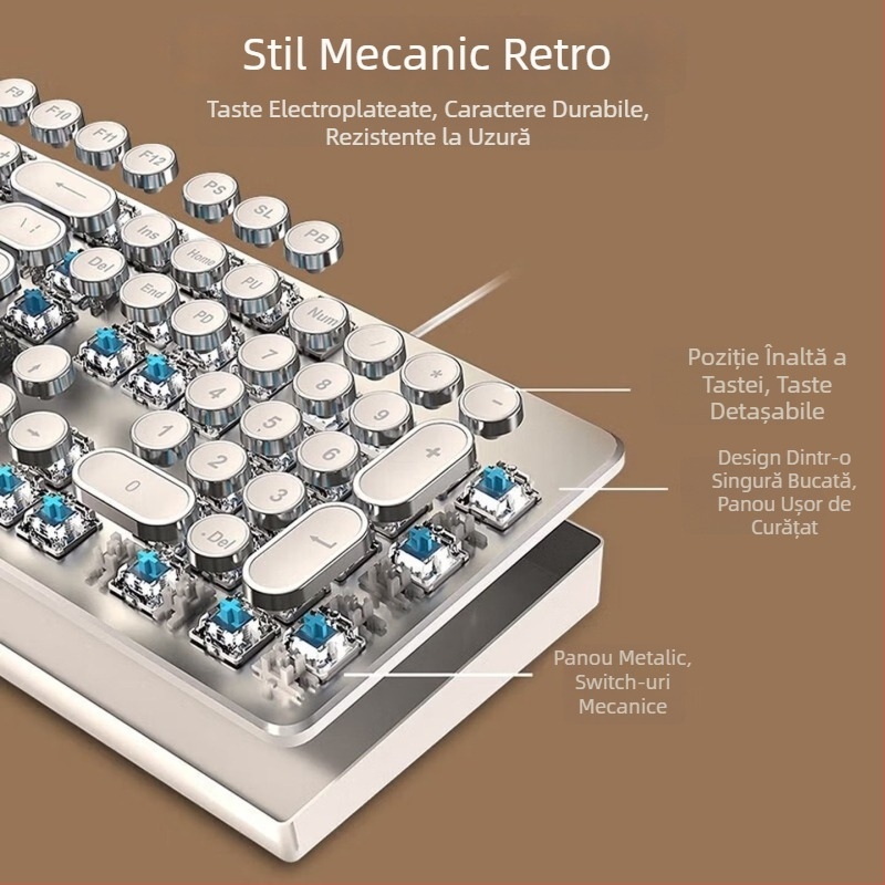 RS6 Tastatură și mouse mecanice, set cablat, switchuri albastre și negre, pentru gaming și muncă la birou