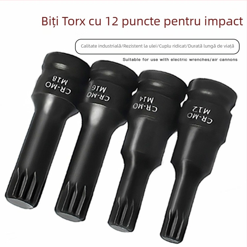 Set de 1/2 inch cu biti în stea de 12 unghiuri, biti integrați, tip M