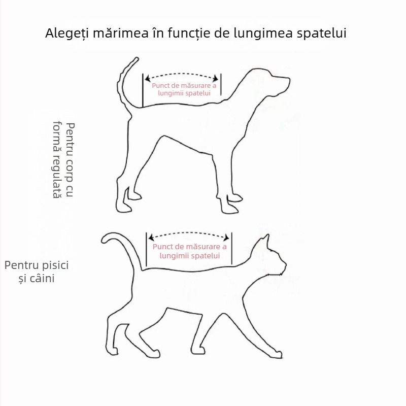 Îmbrăcăminte pentru animale de companie cu model tatuaj, respirabilă, anti-pierderii de blană, pentru patru labe, personalizată, amuzantă.