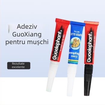 Decor pentru acvariu: schelet de cadru cu lemn scufundat, mușchi și adeziv pentru mușchi