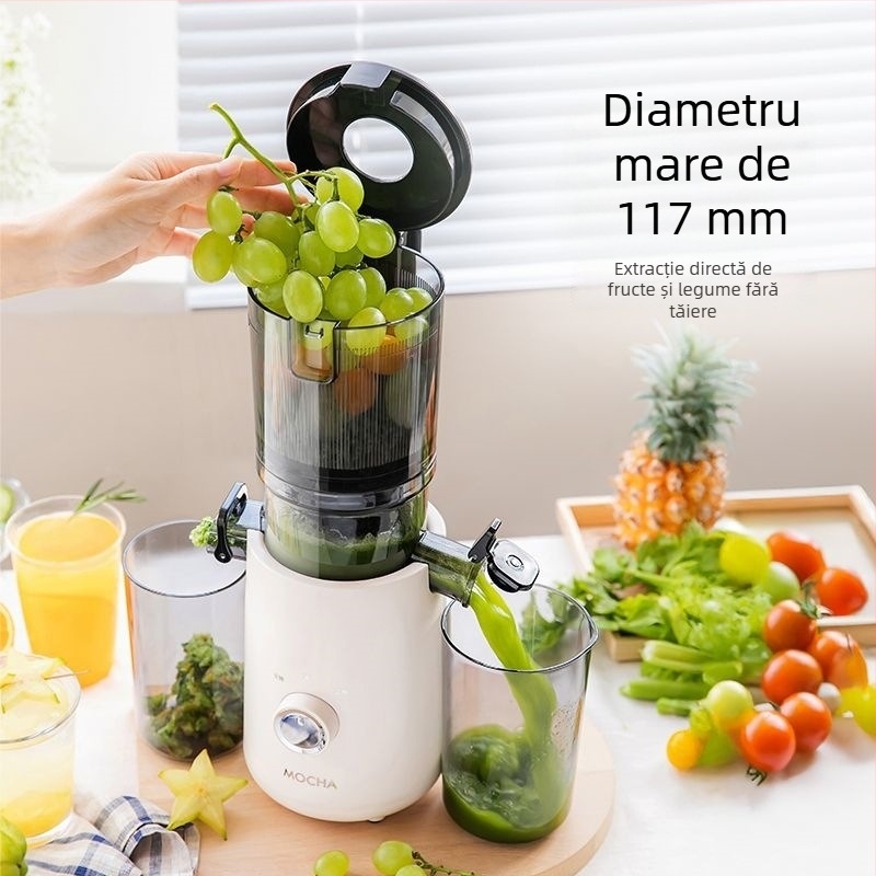 Storcător casnic cu separare a pulpei, complet automat, pentru sucuri din fructe și legume